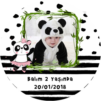 Sevimli Kız Panda Temalı Resimli Akrilik Daire Magnet