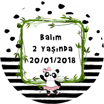 Sevimli Kız Panda Temalı Akrilik Daire Magnet