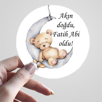 Ayda Uyuyan Ayıcık ve Uçağı Temalı Sticker