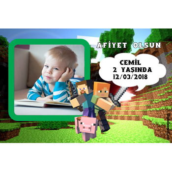 MineCraft Temalı Doğum Günü Amerikan Servis