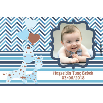 Baby Zebra Temalı Magnet