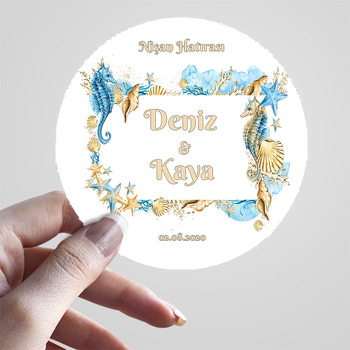 Beyaz Fonda Deniz Kabukları Kare Çerçeve Temalı Sticker