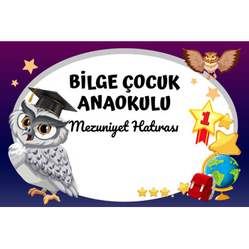 Bilge Baykuş Temalı Mezuniyet Afişi