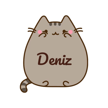 Cat Pusheen Temalı Sticker