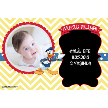 Donald Duck Temalı Plastik Magnet