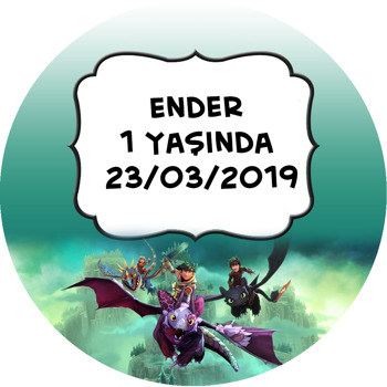 Ejderha Nasıl Eğitilir Temalı Sticker