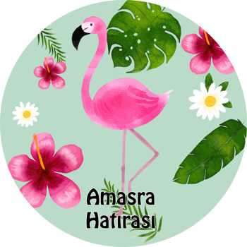 Flamingo Temalı Sticker