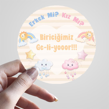 Gökkuşağı ile Cinsiyet Partisi Temalı Sticker