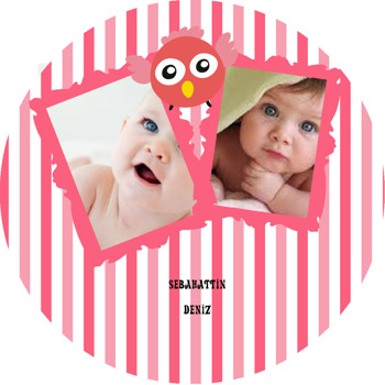 İki Resimli Pembe Baykuş Temalı Sticker