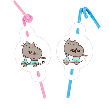 Kedi Pusheen ile Scooter Temalı Pipet ve Kartı