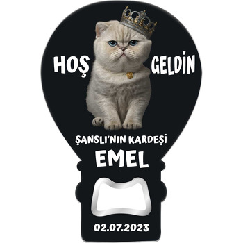 Kraliçe Kedi Kardeş ile Hoşgeldin Bebek Temalı Balon Magnet Açacak