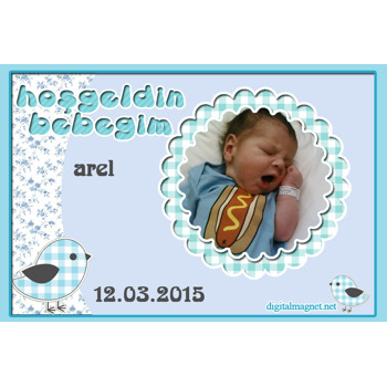 Kuşlu Hoşgeldin Bebek Plastik Magnet