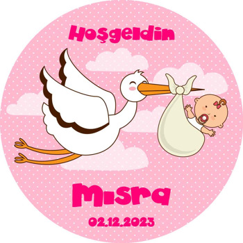 Leylekte Bebek ile Pembe Fon Pleksi Magnet