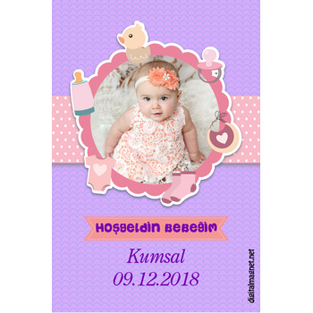 Miniş Bebek Süsleri Temalı Hoşgeldin Bebek Magnet