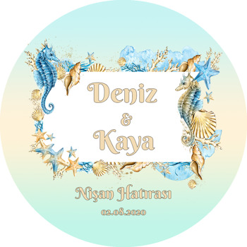 Mint Yeşili Fonda Deniz Kabukları Kare Çerçeve Temalı Sticker