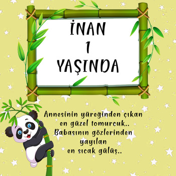 Panda  Temalı Kare Afiş