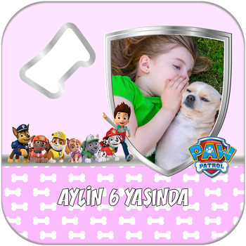 Paw Patrol Pembe Temalı Kare Magnet Açacak