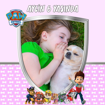 Paw Patrol Pembe Temalı Kare Parti Afiş