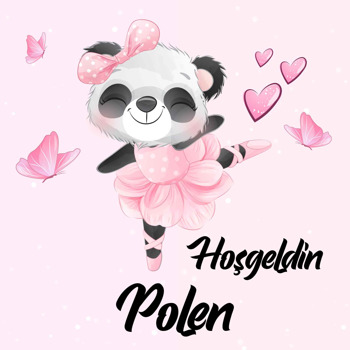 Pembe Balerin Panda Temalı Kare Parti Afiş