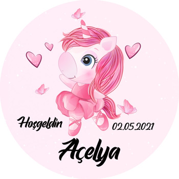 Pembe Balerin Unicorn Temalı Akrilik Daire Magnet