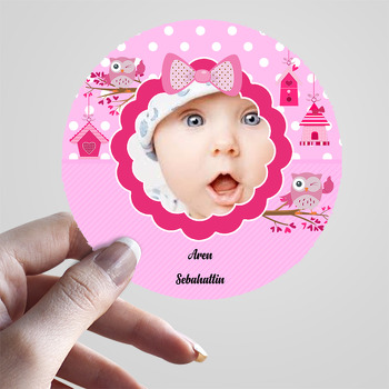 Pembe Baykuşlar 2 Temalı Resimli Sticker