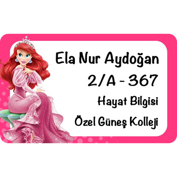 Pembe Elbiseli Ariel Temalı Defter Etiketi