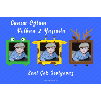 Sevimli Hayvanlar 3 Fotoğralı Temalı Afiş