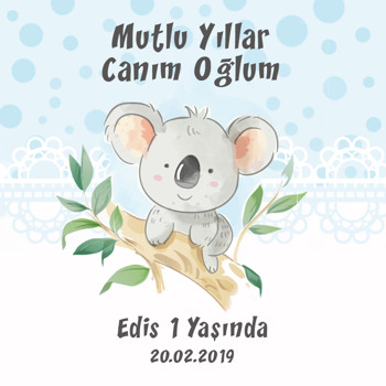 Sevimli Koala Mavi Temalı Kare Parti Afiş