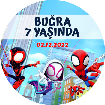 Spidey Örümcek Adam Temalı Akrilik Daire Magnet