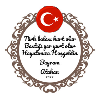 Türk Bayrağı ile Kahverengi Çerçeve Temalı Sticker