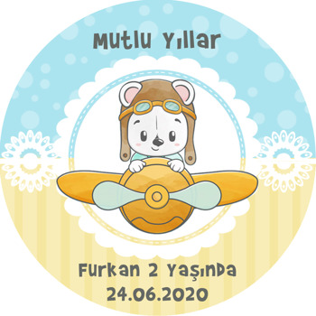 Uçaklı Ayıcık Temalı Sticker