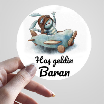 Vintage Uçaklı Tavşan Temalı Sticker