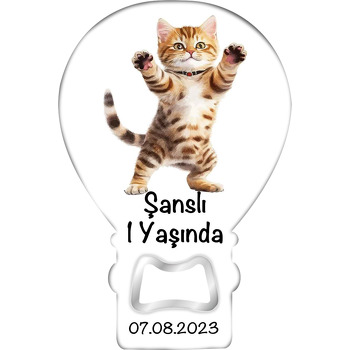 Yaramaz Tekir Yavru Kedi Temalı Balon Magnet Açacak